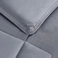 Logan Soft Lightweight Microfiber Comforter Set