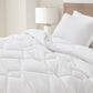 Logan Soft Lightweight Microfiber Comforter Set