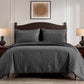 Liam Luxury Medallion Pinsonic Quilted Bed in a Bag Comforter Set